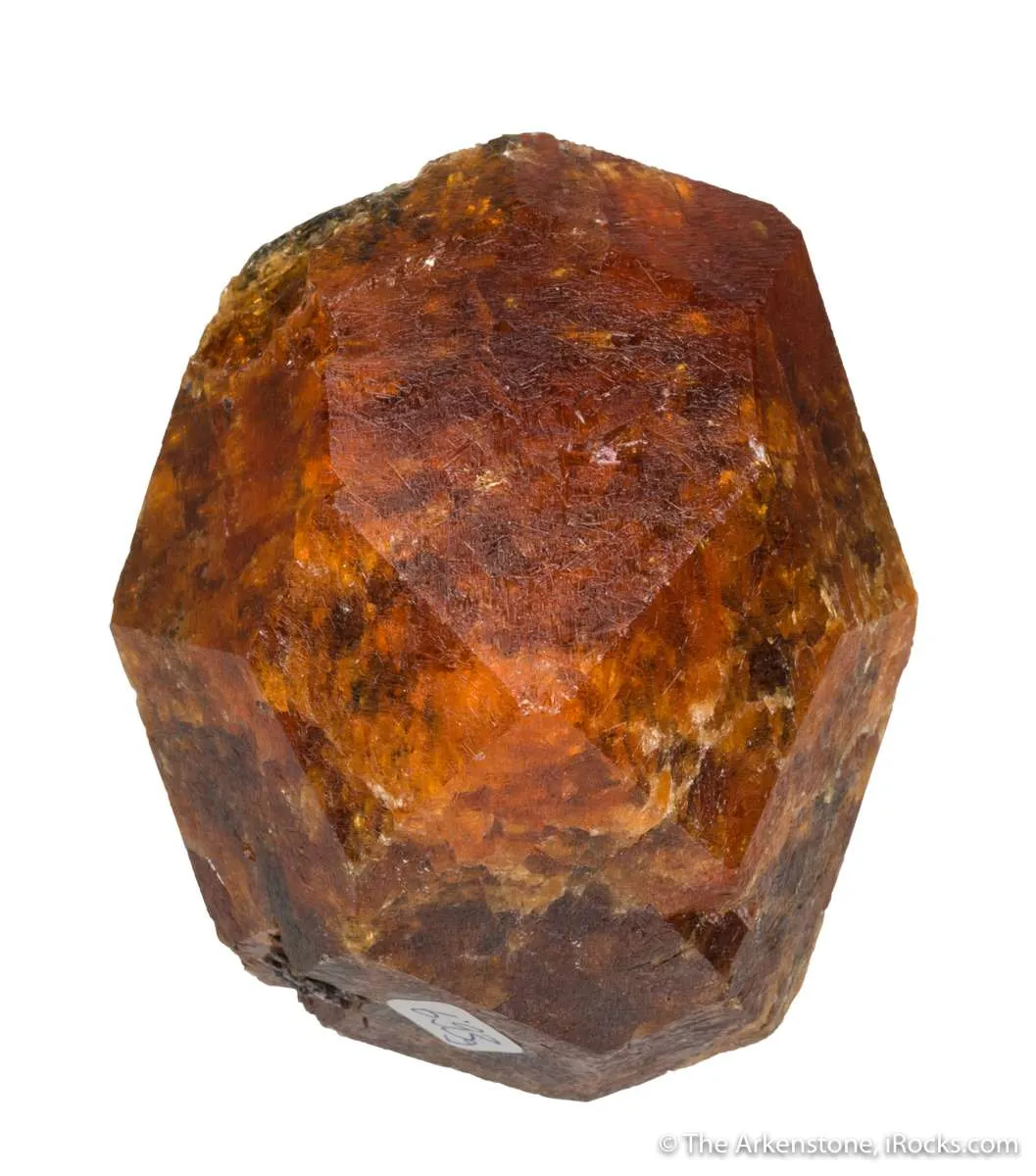 Garnet var. Spessartine (2 pound crystal!) - image 4