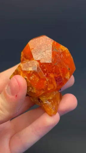 specimen video