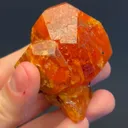 specimen video