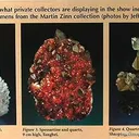 Garnet With Smoky Quartz (Illustrated) - image 2