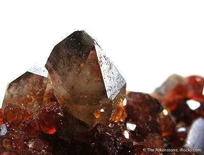 Garnet With Smoky Quartz (Illustrated) - image 3