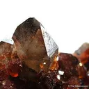 Garnet With Smoky Quartz (Illustrated) - image 3