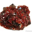 Garnet With Smoky Quartz (Illustrated) - image 1