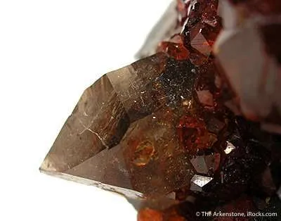 Garnet With Smoky Quartz (Illustrated) - image 4