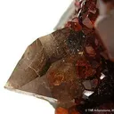 Garnet With Smoky Quartz (Illustrated) - image 4