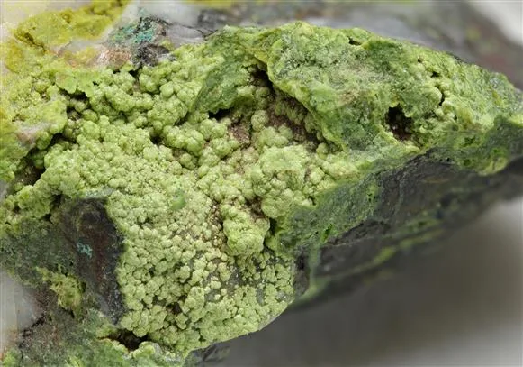Gartrellite image