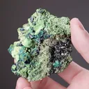 Gartrellite with Azurite and Malachite ps. after Azurite - image 2