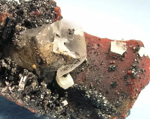 Gaudefroyite, Andradite, Baryte - image 3