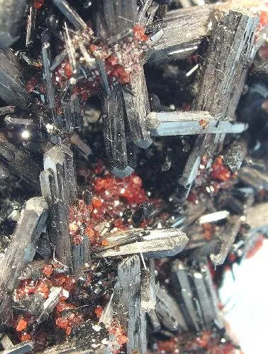 Gaudefroyite, Andradite, Baryte - image 2