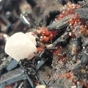 Gaudefroyite, Andradite, Baryte - image 3