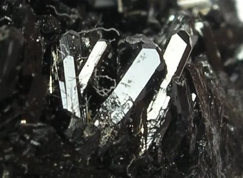 Gaudefroyite, Baryte, Andradite - image 2
