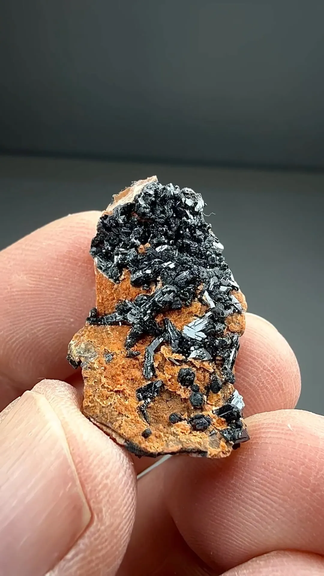 Gaudefroyite - image 2