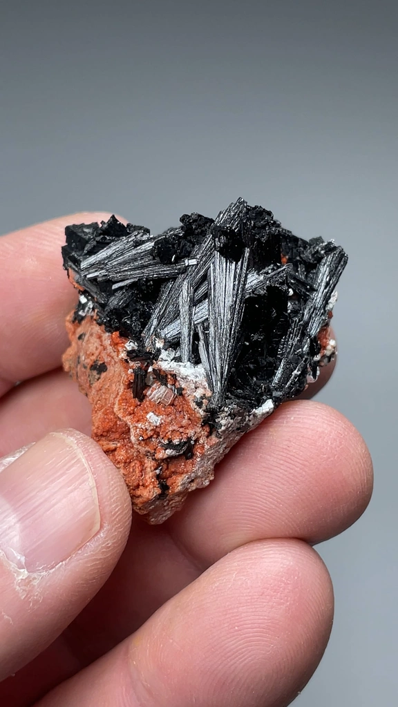 Gaudefroyite from N'Chwaning II Mine, N'Chwaning Mines, Northern Cape, South Africa - image 2
