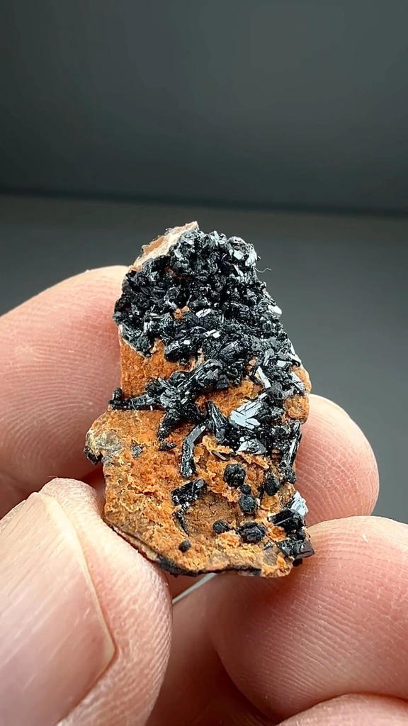 Gaudefroyite from N'Chwaning II Mine, N'Chwaning Mines, Northern Cape, South Africa - image 2