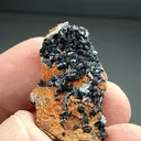 Gaudefroyite from N'Chwaning II Mine, N'Chwaning Mines, Northern Cape, South Africa - image 2