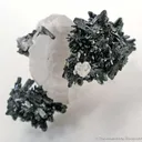 Gaudefroyite on Baryte - image 3