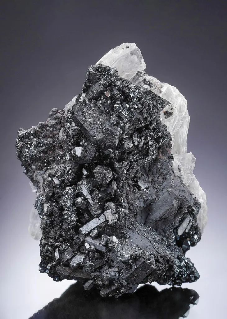 Gaudefroyite on Gypsum image