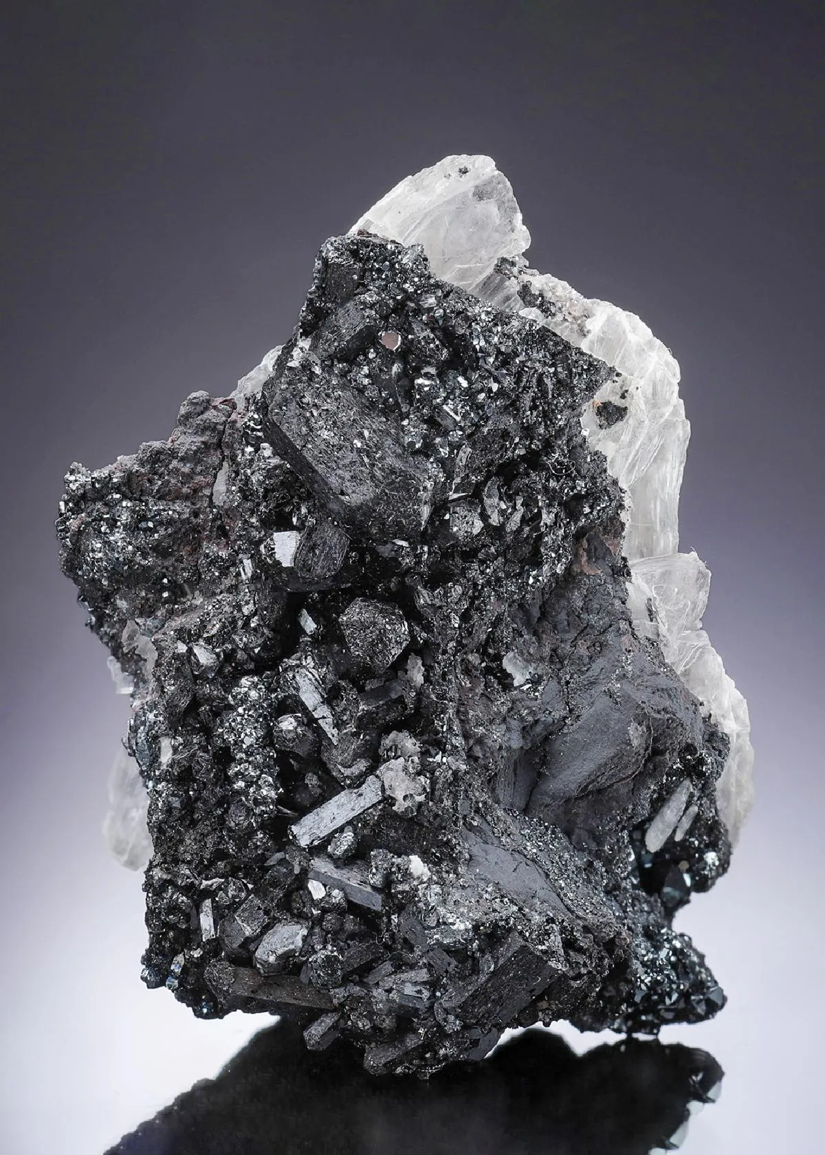 Gaudefroyite on Gypsum - image 1