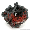 Gaudefroyite With Andradite Garnet - image 1