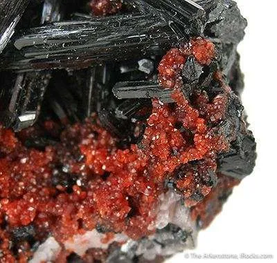Gaudefroyite With Andradite Garnet - image 2