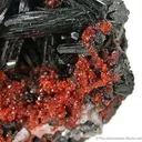 Gaudefroyite With Andradite Garnet - image 2