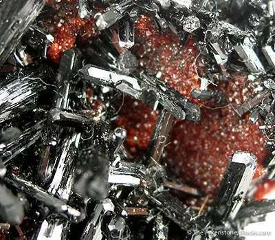 Gaudefroyite Wtih Andradite Garnet - image 3