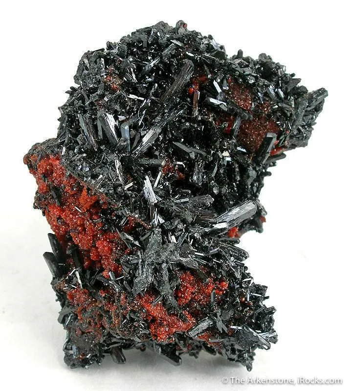 Gaudefroyite Wtih Andradite Garnet image