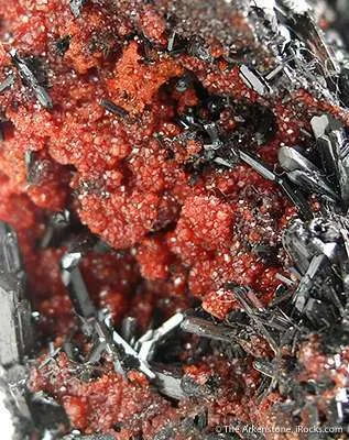 Gaudefroyite Wtih Andradite Garnet - image 2