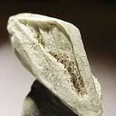 Gaylussite - image 1