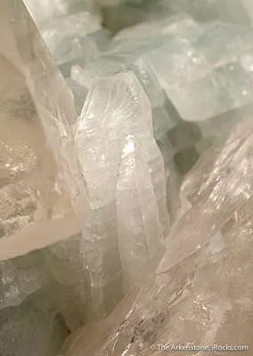 Gem Albite Crystals on Quartz - image 3