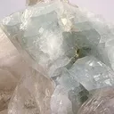 Gem Albite Crystals on Quartz - image 2