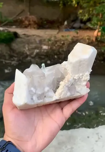 specimen video