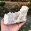 specimen video
