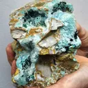 GEM CLINOATACAMITE CRYSTALS DRUSY CHRYSOCOLLA LILY MINE PERU DISCOVERY - image 3