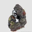 gem Cuprite crystal on Copper - image 6