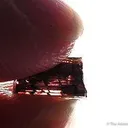 Gem Painite - image 2