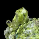 Gem Pocket Mimetite With Rosasite (1972) - image 7