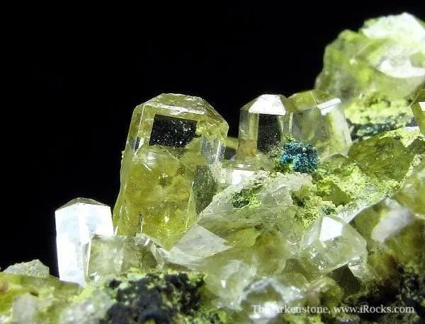 Gem Pocket Mimetite With Rosasite (1972) image