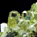Gem Pocket Mimetite With Rosasite (1972) - image 1