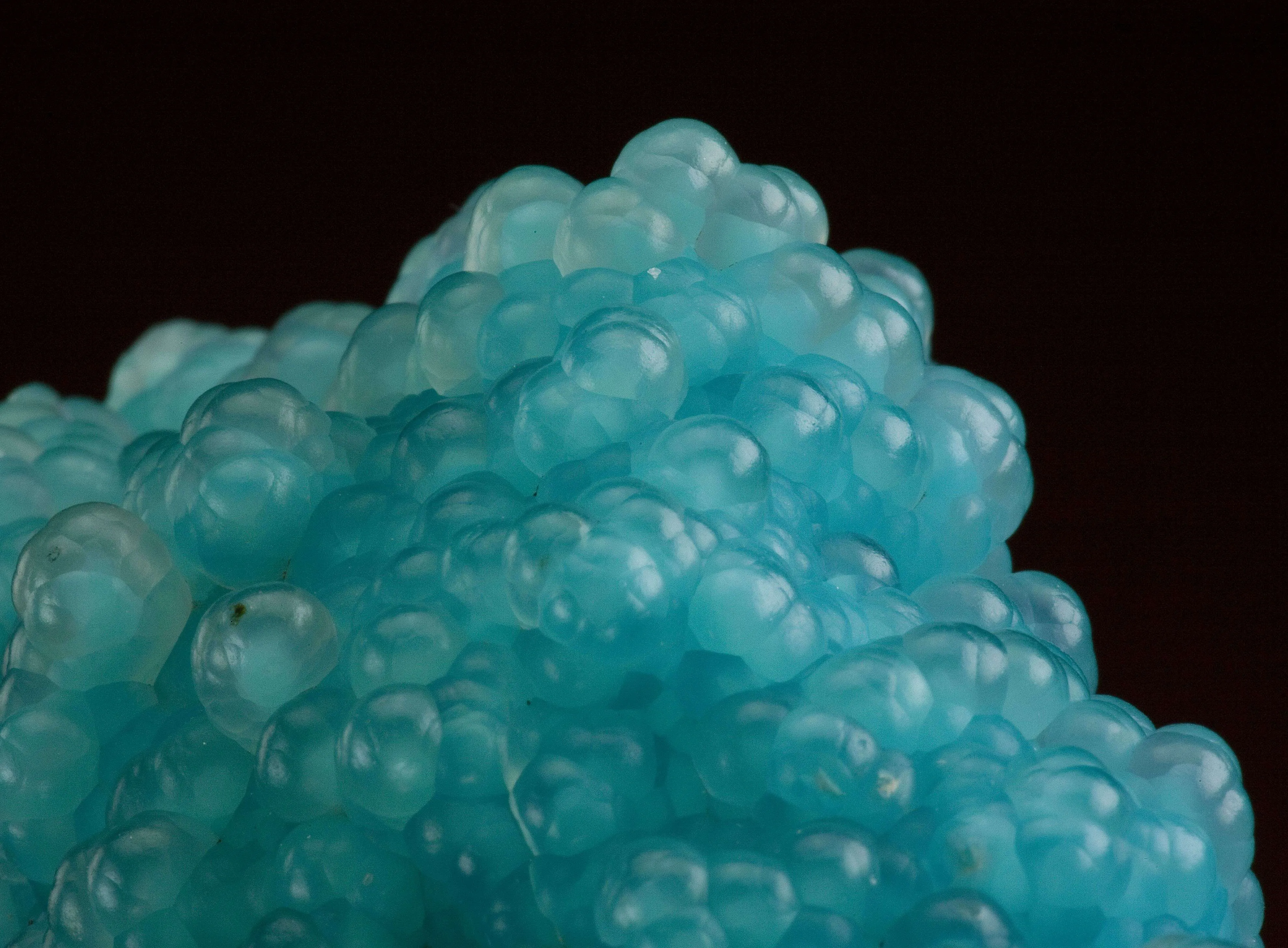 Gem Silica - Chalcedony on Chrysocolla - image 3