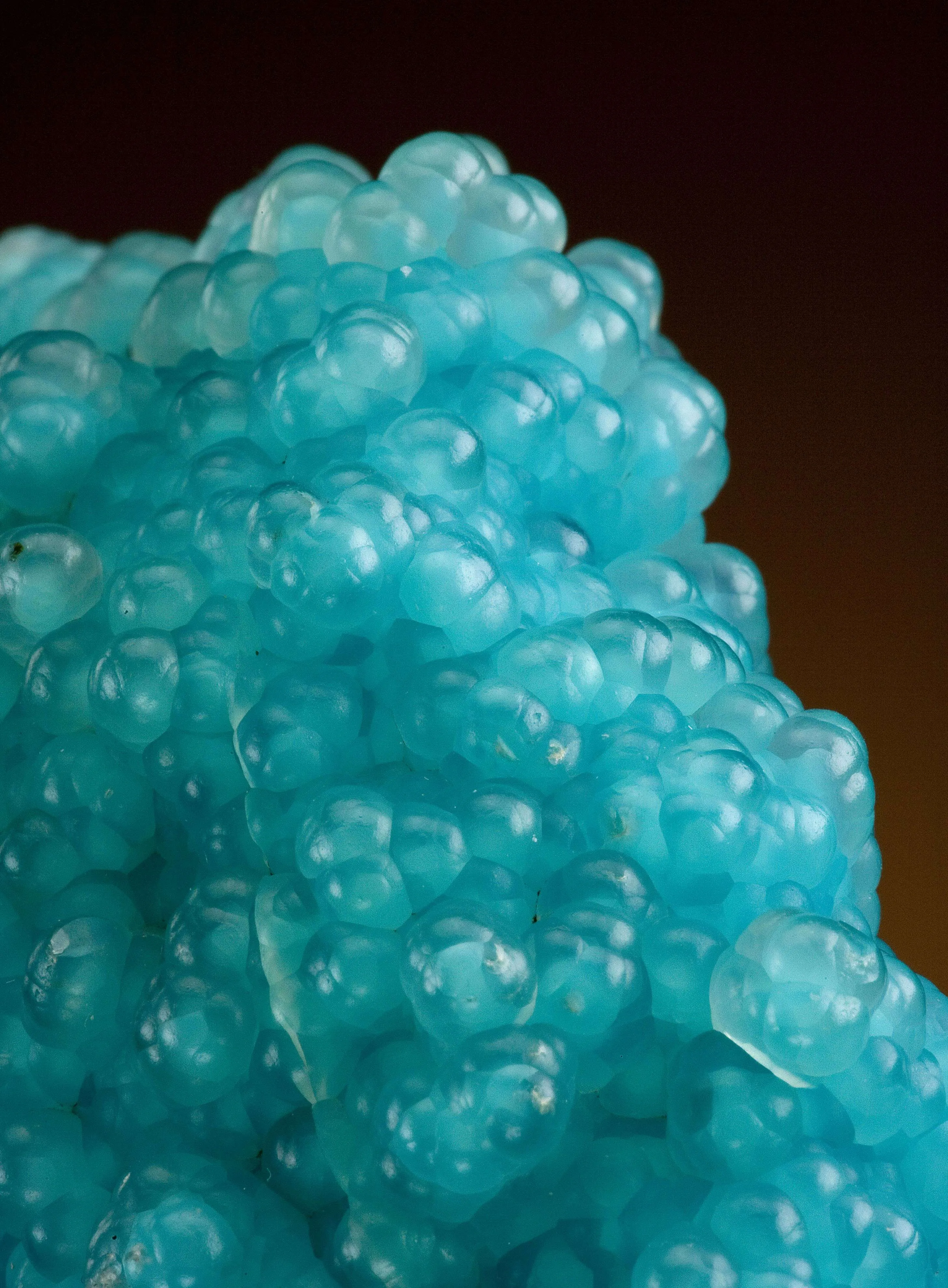 Gem Silica - Chalcedony on Chrysocolla - image 4