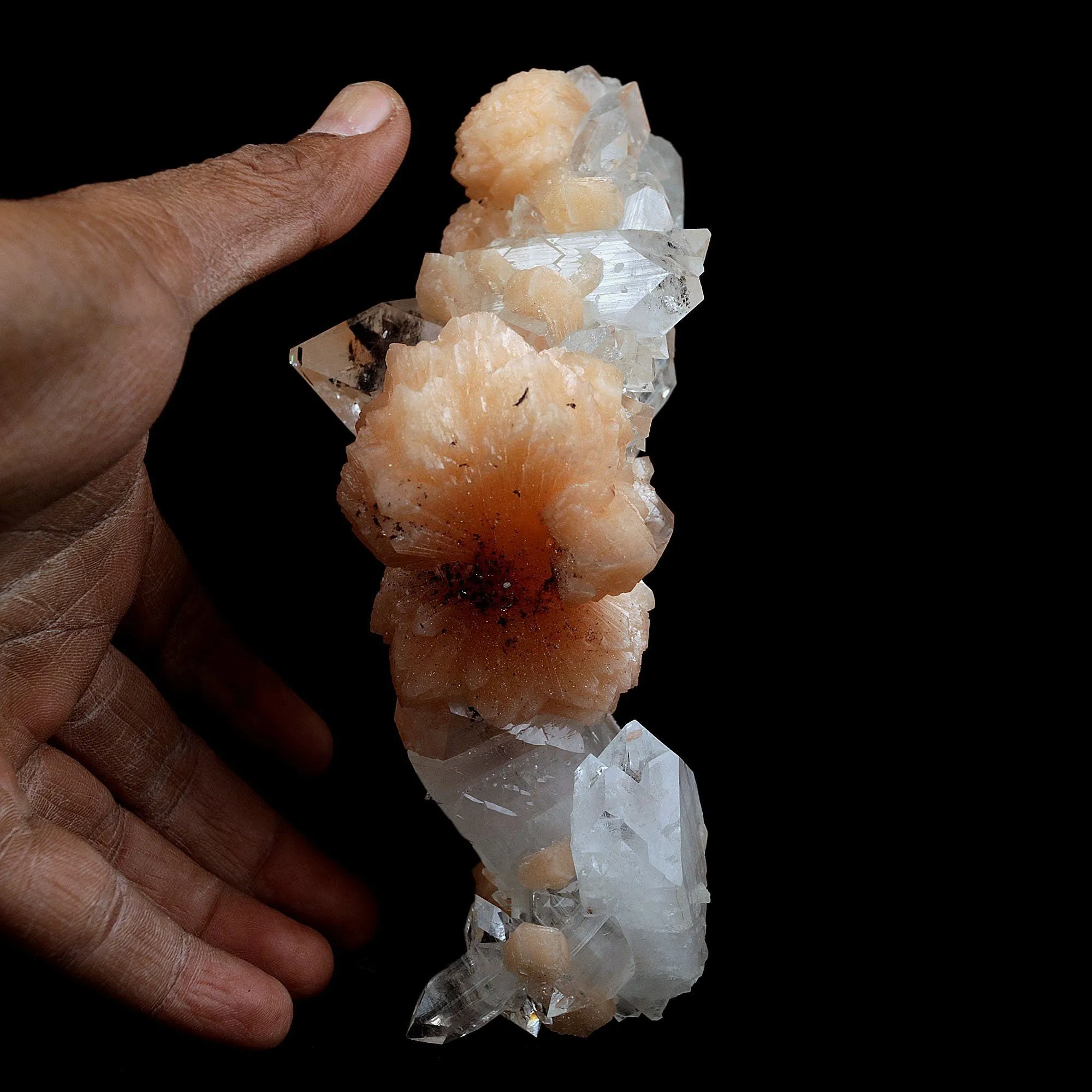 Gemmy Apophyllite Terminated Stalactite with Stilbite Natural Mineral Specimen (Repaired) - image 3