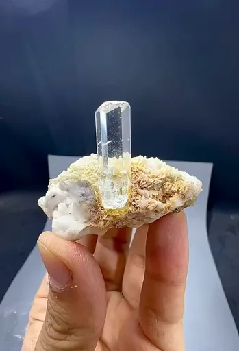 specimen video