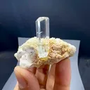 specimen video