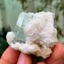 Gemmy Blue Aquamarine with Topaz and Apatite on Cleavelandite Albite from Pakistan - image 4