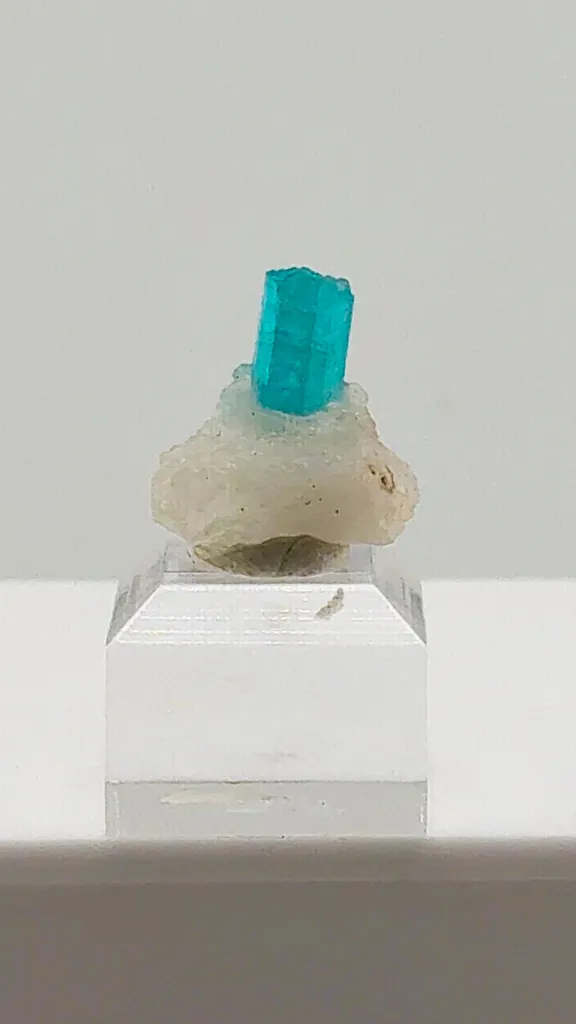 Gemmy Brazilian Paraiba Tourmaline in Quartz image
