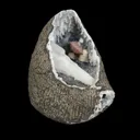Gemmy Brown Heulandite with Coated Calcite Pillar & Chalcedony Stalactites in Natural Geode – Rare Zeolite Specimen - image 3