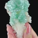 Gemmy Green Apophyllite with Stilbite | High Quality Mineral | Indian Mineral | Superb Minerals | Collectors Piece | Minerals | Specimen - image 4