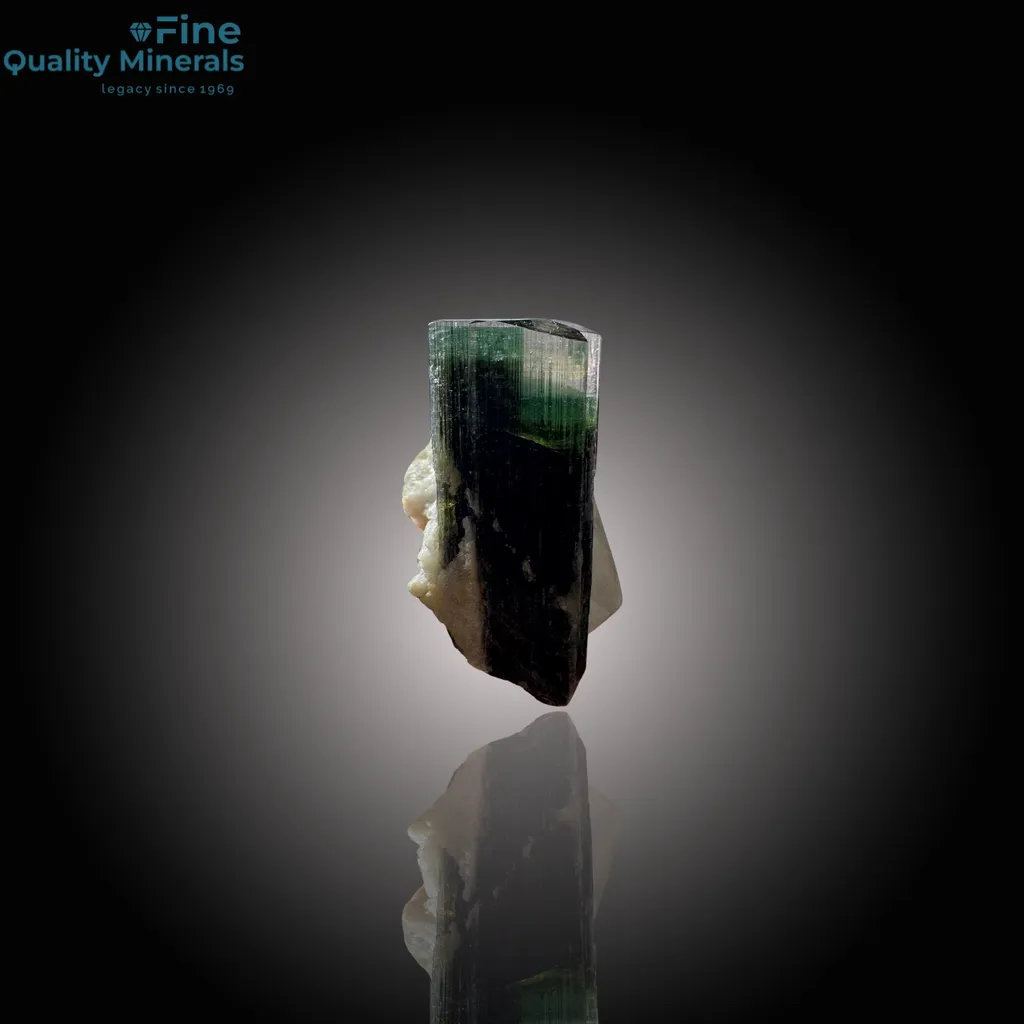 Gemmy Green Tourmaline Paired with Quartz - image 3