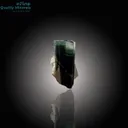 Gemmy Green Tourmaline Paired with Quartz - image 3